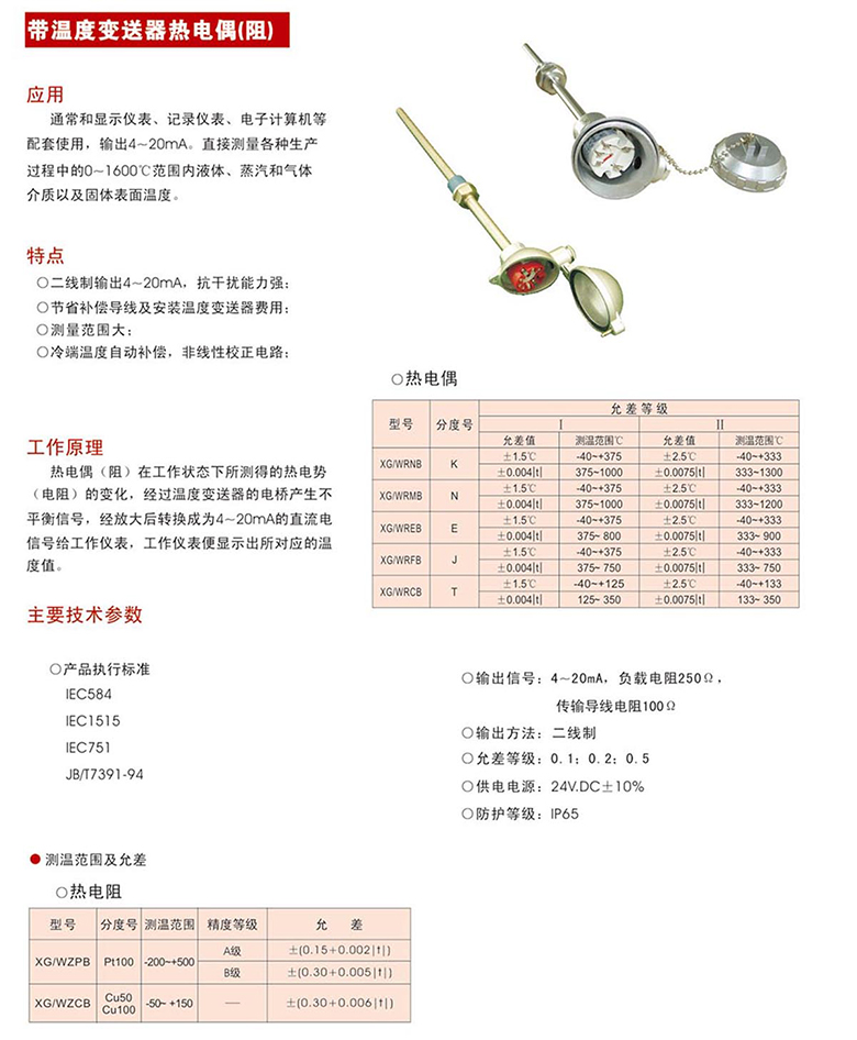 帶溫度變送器熱電偶阻11.jpg